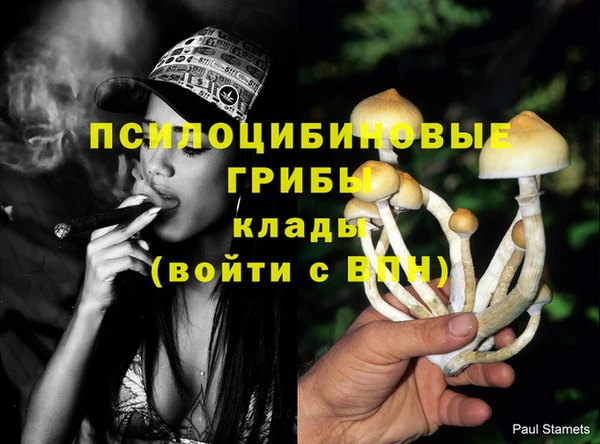 ECSTASY Аркадак