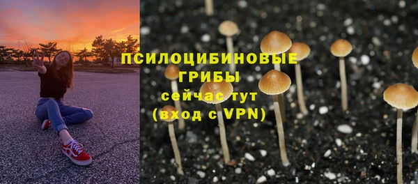 ECSTASY Аркадак